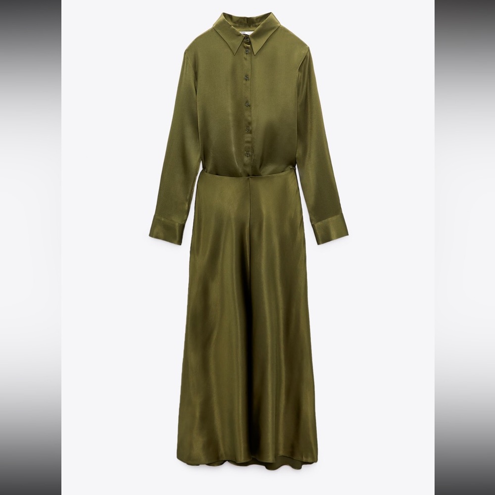 Zara dress